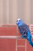_DSC5915@0,25x.jpg