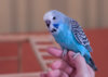 _DSC5920@0,25x.jpg