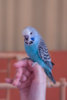 _DSC5928@0,5x.jpg