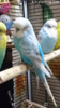 Screenshot_20170806-150514.png