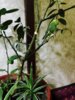 IMG_20170806_225547.jpg