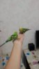 20170723_221715.jpg