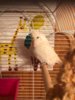IMG-20170807-WA0042.jpg