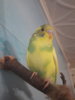 20170806_194211.jpg