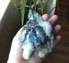20170808_093408.jpg