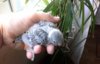20170808_093514.jpg
