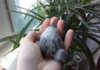 20170808_093641.jpg