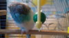 2010-05-31 05-20-11.JPG