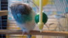 2010-05-31 05-20-16.JPG