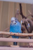 _DSC6151@0,5x.jpg