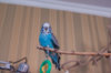 _DSC6152@0,25x.jpg