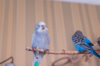 _DSC6162@0,25x.jpg