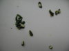 DSCN2219.JPG