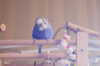_DSC5568@0,25x.jpg