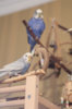 _DSC5531@0,25x.jpg