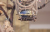 _DSC5561@0,25x.jpg