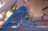 _DSC5475@0,25x.jpg