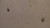 IMG_20100602_125012.jpg