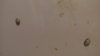 IMG_20100602_125016.jpg