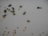 DSCN2234.JPG