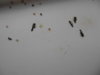 DSCN2236.JPG