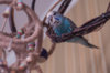 _DSC6186@0,25x.jpg