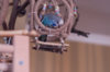 _DSC6188@0,25x.jpg