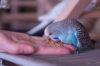 _DSC6218@0,25x.jpg