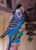 _DSC6220@0,5x.jpg