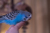 _DSC6225@0,25x.jpg
