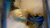 2010-06-05 05-06-18.JPG