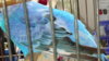 20170815_090259.jpg