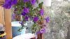 20170815_100433.jpg
