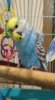 IMG_20170814_175322.jpg