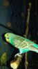 pGd-N6B2CCQ.jpg