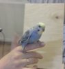 20170817_210034.jpg