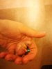 IMG_20170818_174906.jpg