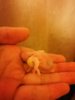 IMG_20170818_174919.jpg