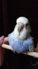 DSC_0166.JPG