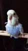 DSC_0167.JPG