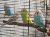DSCN9823.JPG