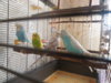 DSCN9830.JPG