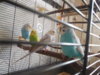 DSCN9829.JPG