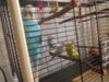 DSCN9825.JPG