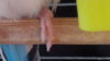 2010-06-12 03-15-30.JPG