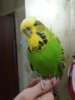 20170821_214916.jpg