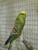 20170821_215319.jpg