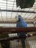 20170821_215355.jpg