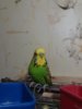 20170821_215409.jpg