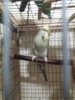 20170821_215418.jpg